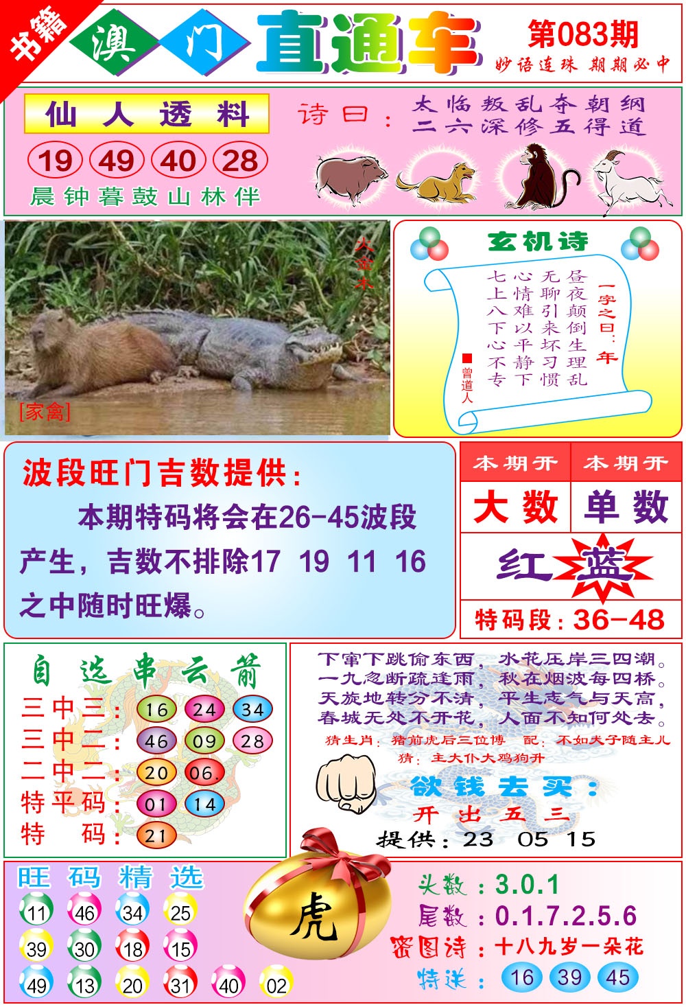 083期白姐直通车[图]